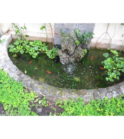NHÀ CẦN BÁN - QUẬN 1