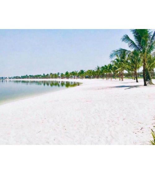 Thông tin cập nhật mới nhất về Dự án 08/2019