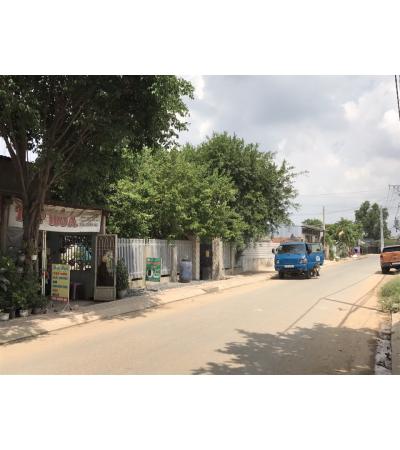BÁN ĐẤT - HÓC MÔN