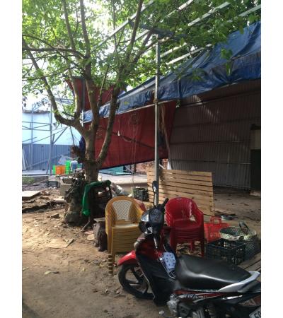 ĐẤT CẦN BÁN - QUẬN 2