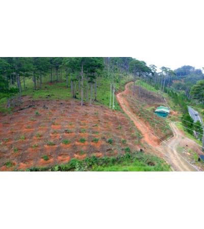 BÁN DỰ ÁN - ĐÀ LẠT