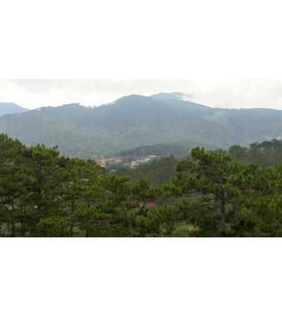 BÁN DỰ ÁN - ĐÀ LẠT