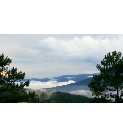 BÁN DỰ ÁN - ĐÀ LẠT