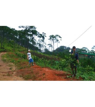 BÁN DỰ ÁN - ĐÀ LẠT