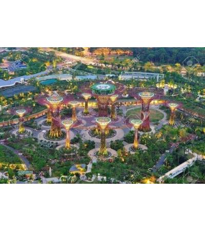THÔNG TIN CHI TIẾT DỰ ÁN
